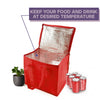 Bag2u【COOLER VER.3】Fresh Food Ice Bag Cooler Bag (L)