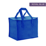Bag2u【COOLER VER.3】Fresh Food Ice Bag Cooler Bag
