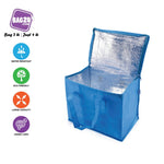 Bag2u【COOLER VER.3】Fresh Food Ice Bag Cooler Bag